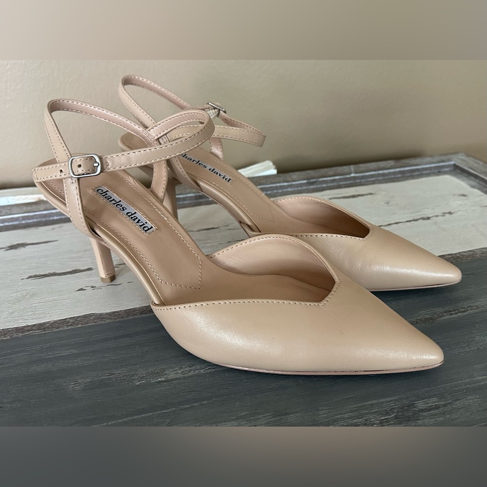 Charles David Pointed Toe Heels - Size 9